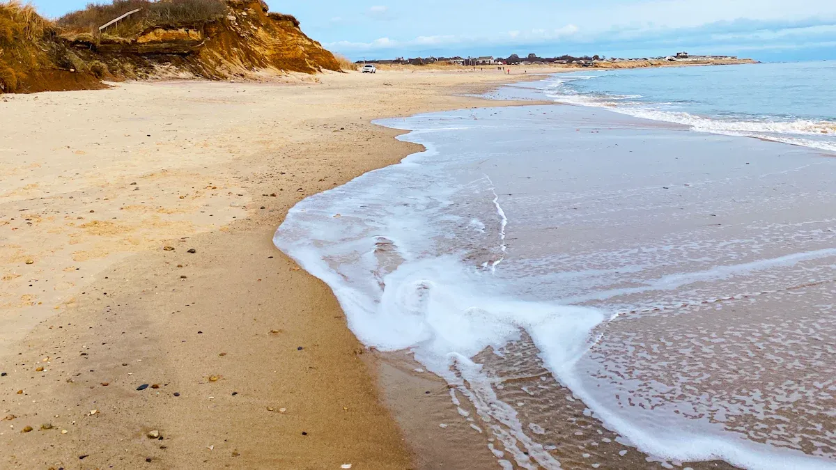 Coastal Risks in Hilton Head Island