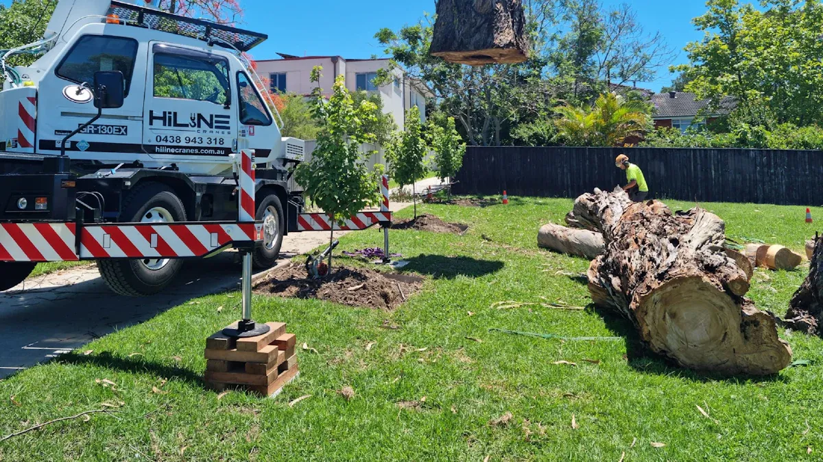 What to Do After a Tree Falls