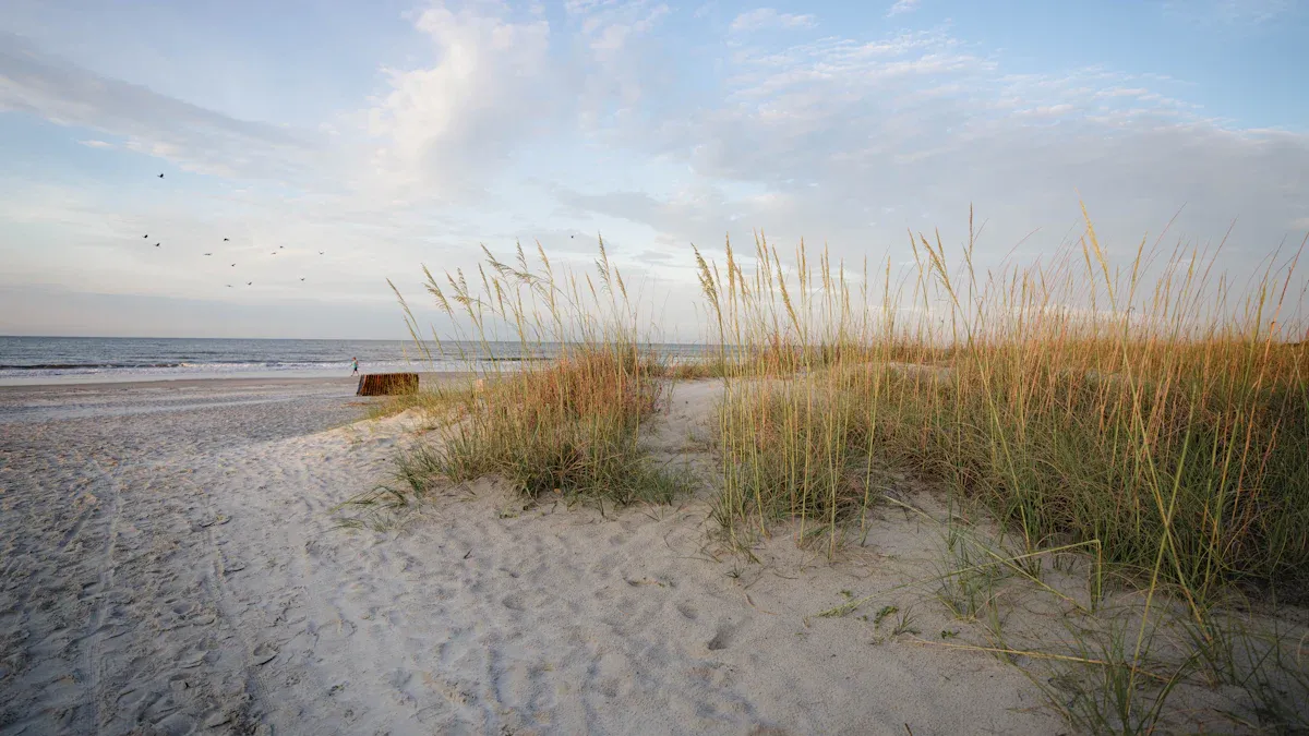 Coastal Weather & Local Factors